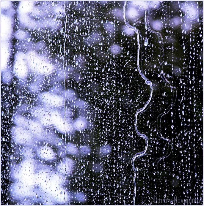 Путь дождя : Путь дождя - путь одиночества, следовать ему можно только одному (Фотограф Дмитрий Новоженов)